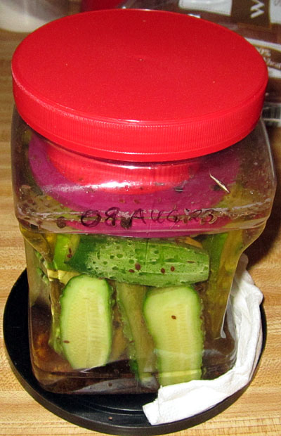 Garden20230809_7238_cuke_lactatePickles_400.jpg