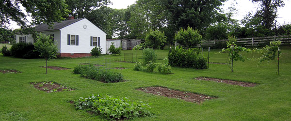 Garden20150609_1813_entireGarden_600.jpg