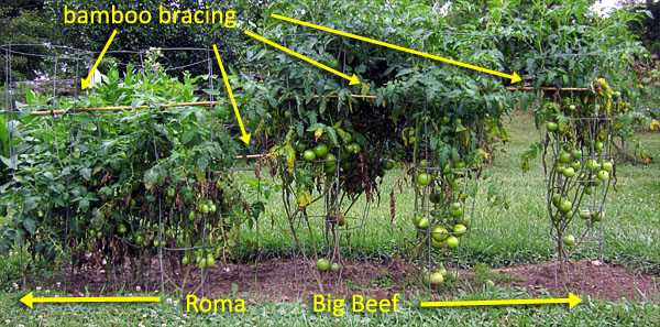 Garden20180724_3693_tomatoBed_bracing_600.jpg