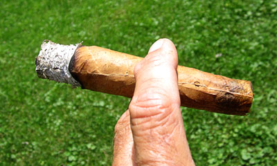 Garden20150723_1944_cigar_HarrowVelvet_wrapper_ash_400.jpg