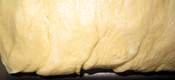 Garden20200426_5046__FlakyBiscuitBread_inPanCloseup_600.jpg