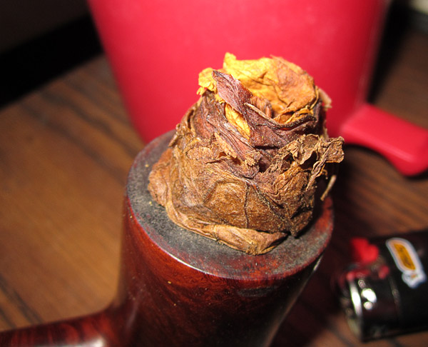 Garden20191114_4864_pipe_poker_rolledEbauchon_CloseUp_600.jpg