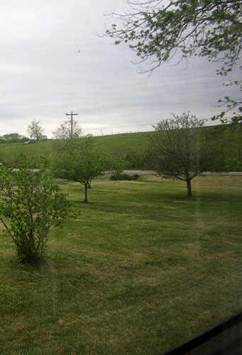 Garden20200505_5078_gardenFromStudyWindow_500v.jpg