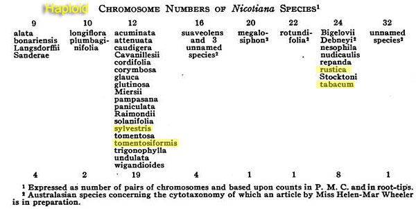 Nicotiana_ChromosomeNumbers_Goodspeed1933.JPG