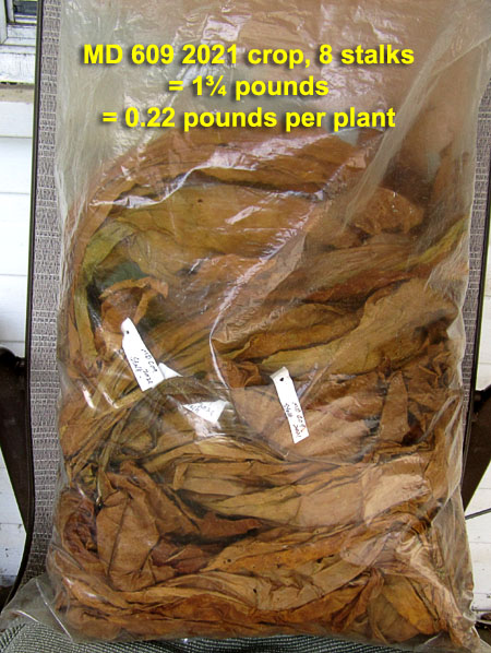 Garden20220706_6524_MD609_2021_cured_bagged_450.jpg