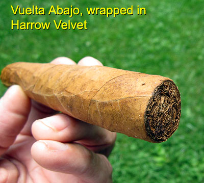 Garden20150723_1941_cigar_HarrowVelvet_foot_400.jpg