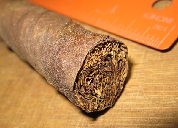 Garden20170921_3092_cigar_LongRed_foot_600.jpg