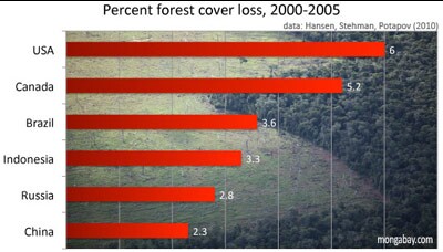 ForestLoss.jpg