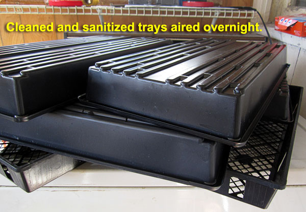 Garden20220305_6257_1020Trays_airDry_600.jpg