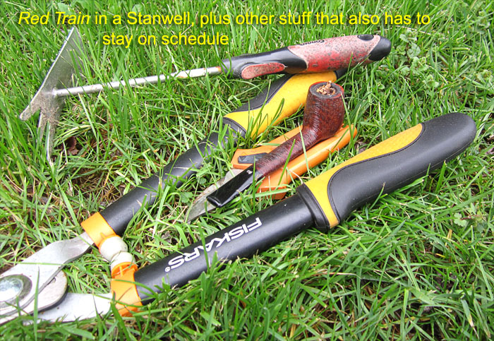 Garden20190413_4223_pipe_Stanwell_inTheGrass_700.jpg
