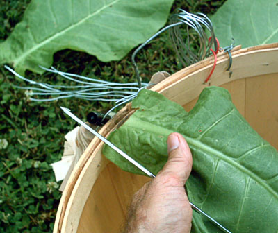 Garden_20110723_26_BasketSkewerNotch_400.jpg