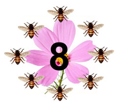 Eight Bees 240.jpg