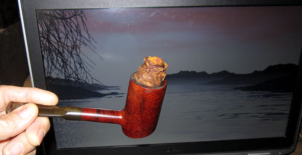 Garden20191114_4863_pipe_poker_rolledEbauchon_600.jpg