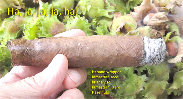 Garden20180819_3822_cigar_HaJaJaJaHa_600.jpg