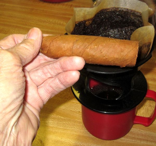 Garden20250917_7679_cigar_breakfastChunk_600.jpg