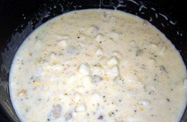 Garden20230316_6900_BroccoliCheddarKrystalChowder_600.jpg