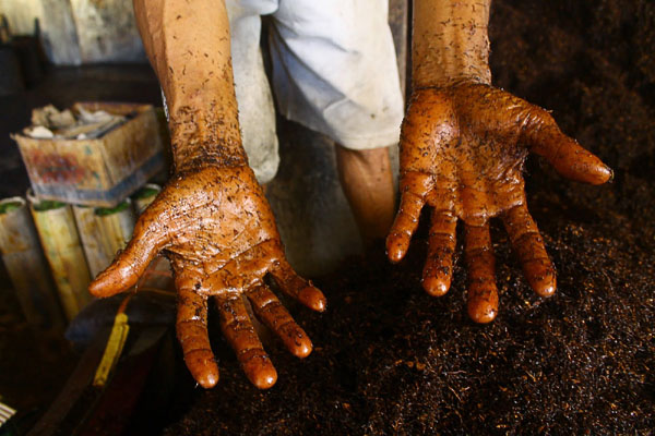 SulawesiBambooTobacco_dirtyHands.JPG