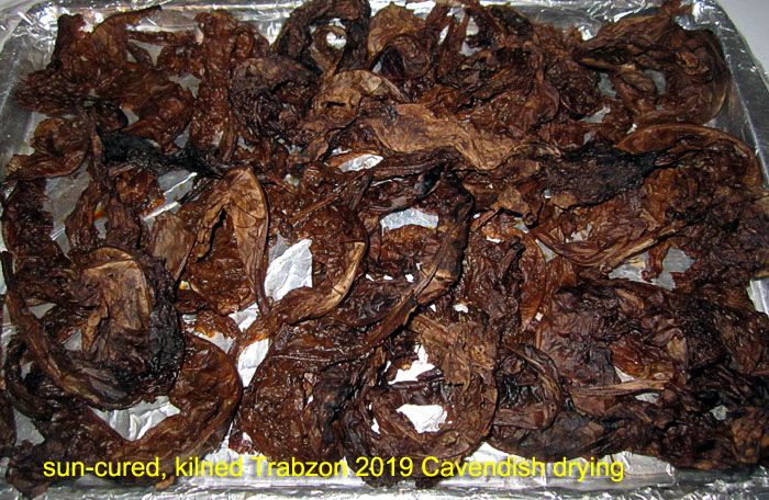 Garden20220110_6170_TrabzonCAV_drying_700a.jpg