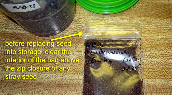 Garden20230301_6867_germinationStart05_600.jpg