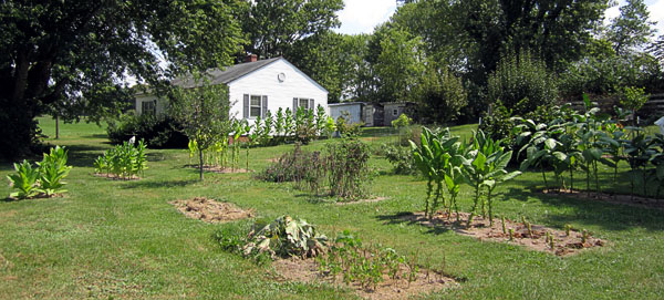 Garden20150901_2061_entireGarden_600.jpg
