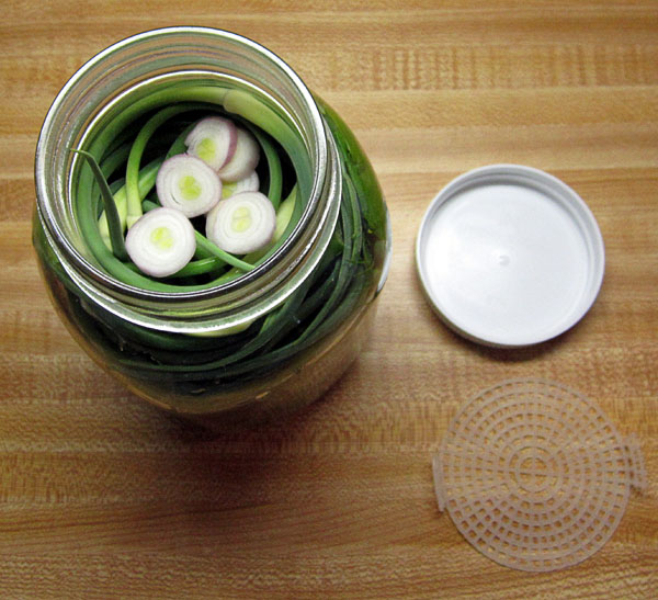 Garden20170615_2722_garlicScapePickles_inJar1_600.jpg