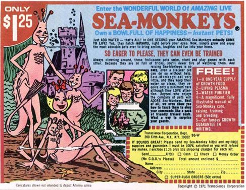 SeaMonkeys.JPG