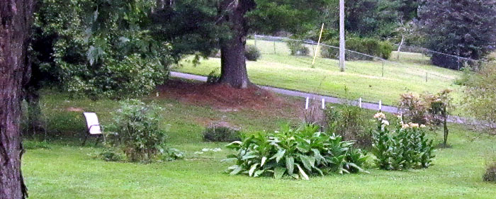 Garden20260807_7829_gardenViewToWest_700.jpg