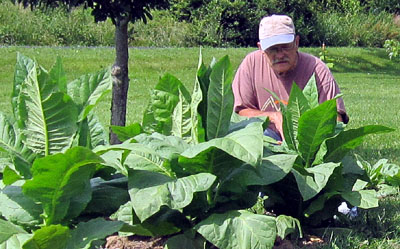 Garden20120609_230_BobOverWisconsin_400.jpg