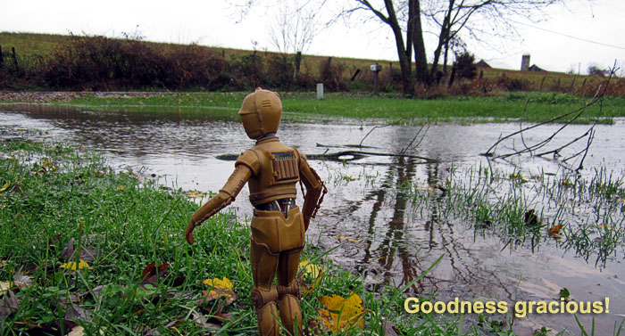 Garden20201112_5541_Flooding_C3PO_700.jpg