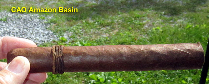 Garden20260608_7768_cigar_CAO_AmazonBasin_700.jpg