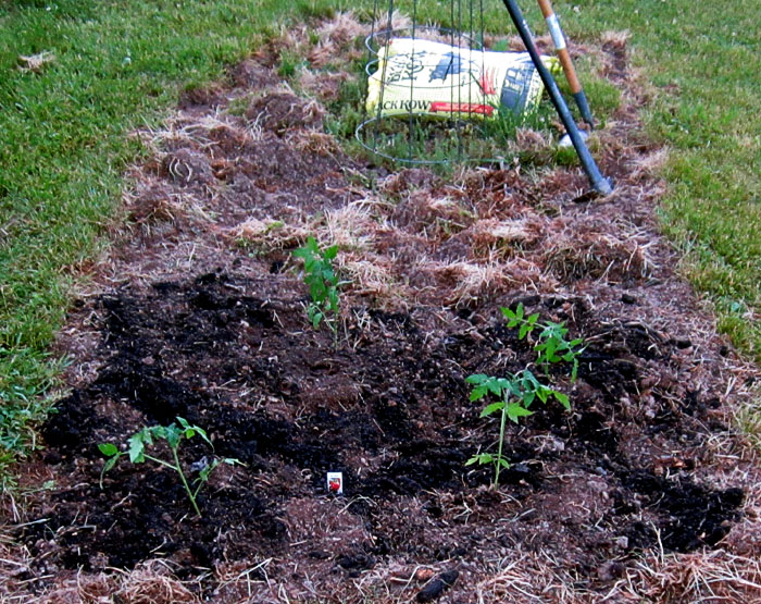 Garden20260520_7754_veggieBed_700.jpg
