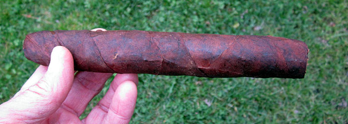 Garden20170405_2544_cigar_Habana2000Monolith_700.jpg