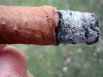 Cigar_ToothyWrapper20120227_054_400px.jpg