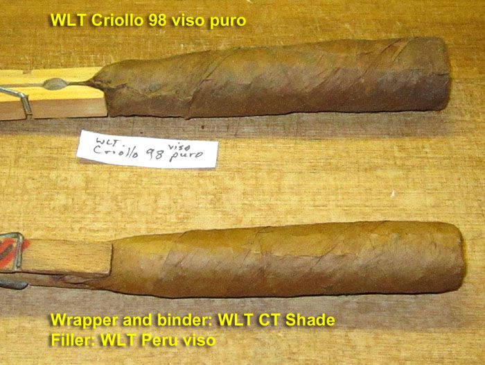 Garden20240406_7340_cigars_Criollo98_CTShade_700a.jpg