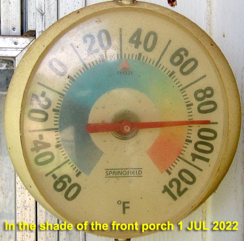 Garden20220701_6512_porchTemp_500.jpg