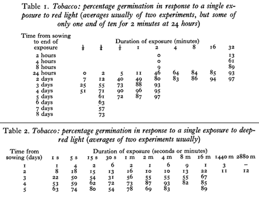 Tobacco_light_exposure_germination.png