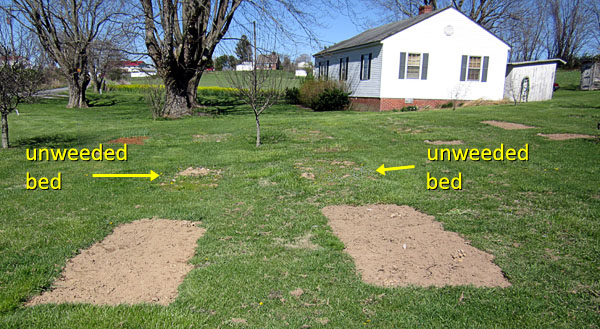 Garden20170408_2549_bedWeeding_600.jpg