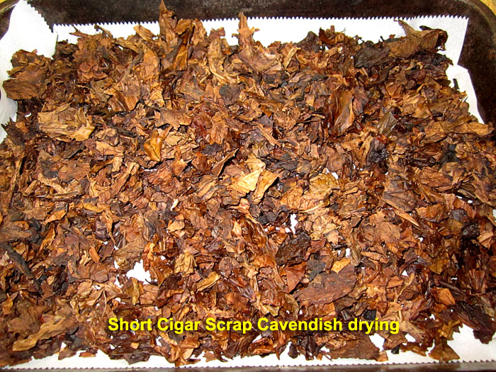Garden20220111_6172_CigarShortScrapCAV_drying_700.jpg