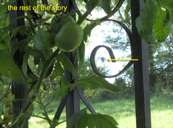 Garden20181001_3939_hornetNest_600.jpg
