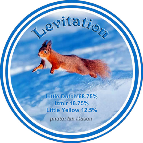 Levitation_blendLabel_500_72dpi.jpg