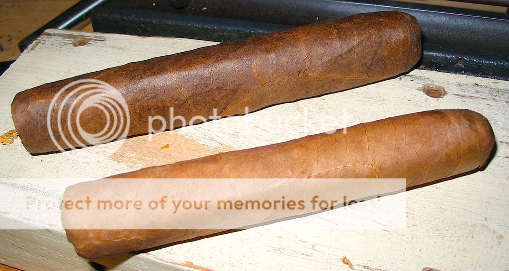 dombidos6_zpscngs8tia.jpg%7Eoriginal