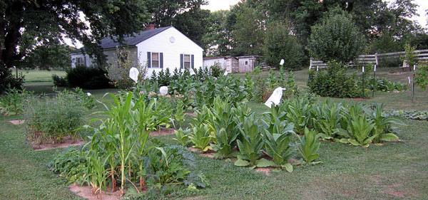Garden20140725_1378_entireGarden_600.jpg