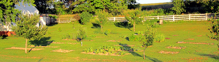 Garden20120527_191_wholeGarden_200h.jpg