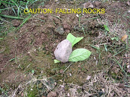 Garden20170527_2659_fallingRocks_500.jpg
