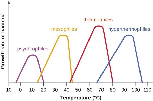 Microorganisms-growth-as-a-function-of-temperature.jpg