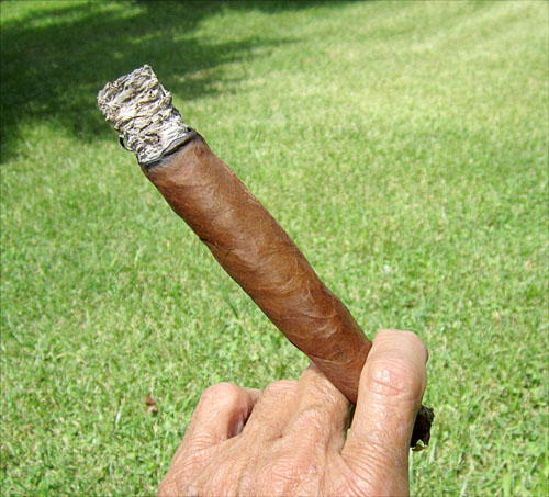 Garden20180731_3718_cigar_RosadoStogie2_500.jpg