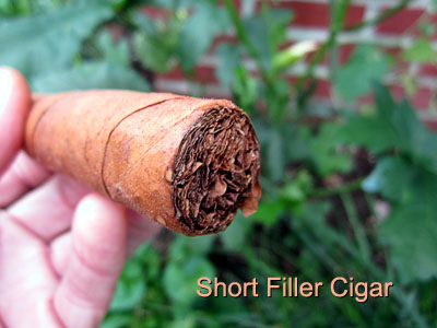 Garden20150808_1991_cigar_shortFiller_foot_400.jpg