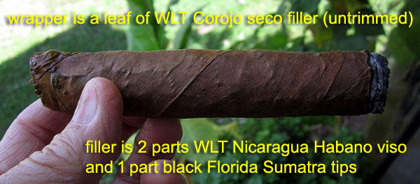 Garden20170909_3045_cigar_WLT_CorojoSecoWrapper_600.jpg