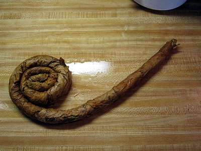 Garden20161015_2331_PeriqueSnake_coiling_400.jpg