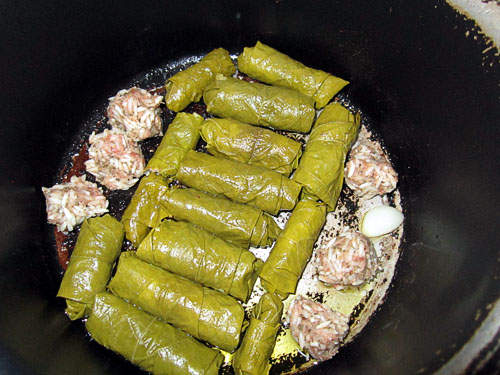 Garden20200730_5308_dolma07_500.jpg